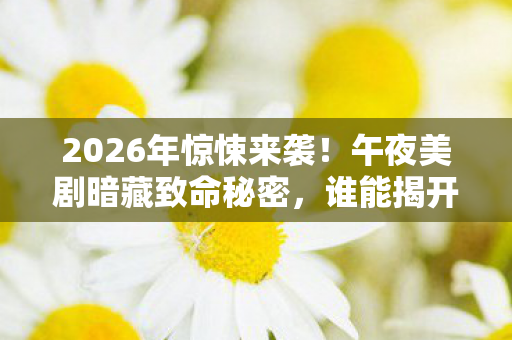 午夜美剧暗藏致命秘密图片