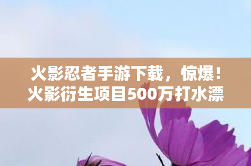 火影衍生项目500万打水漂图片
