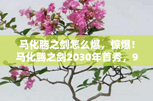 马化腾之剑2030年首秀图片