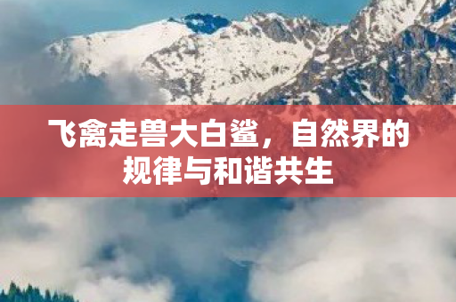飞禽走兽大白鲨,自然界的规律与和谐共生 飞禽走兽大白鲨,自然界的规律与和谐共生