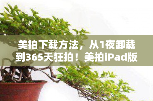 美拍iPad版竟让我真香到上头图片