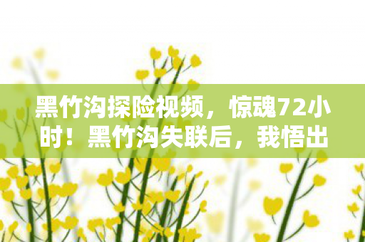 我悟出了生命的终极答案图片
