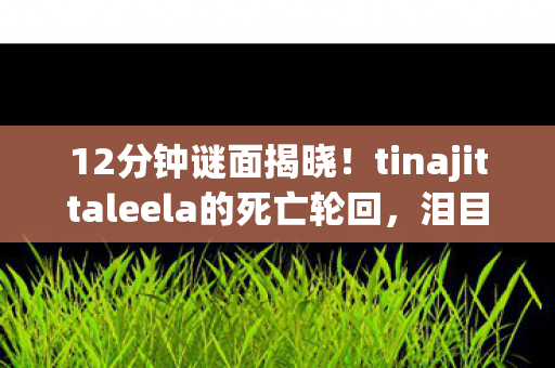 tinajittaleela的死亡轮回图片