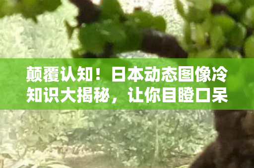 日本动态图像冷知识大揭秘图片