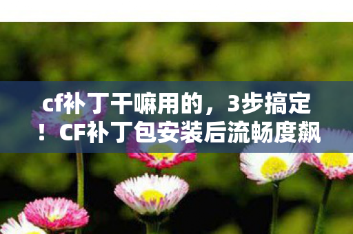 CF补丁包安装后流畅度飙升90图片