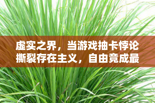 当游戏抽卡悖论撕裂存在主义图片