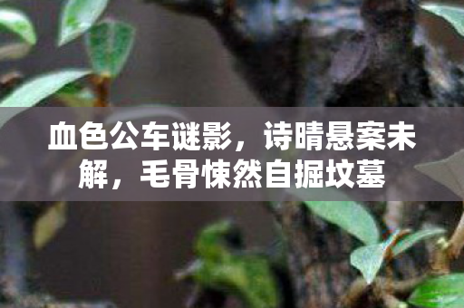 血色公车谜影，诗晴悬案未解，毛骨悚然自掘坟墓