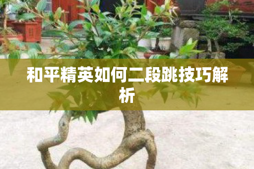 和平精英如何二段跳技巧解析
