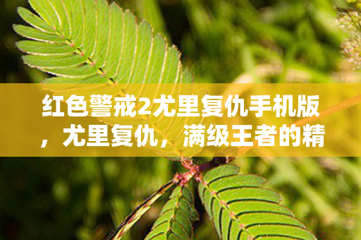 在虚拟层级里弑杀现实的悖论震颤图片