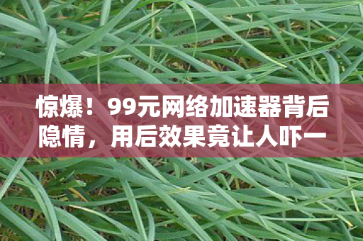 惊爆！99元网络加速器背后隐情，用后效果竟让人吓一跳！