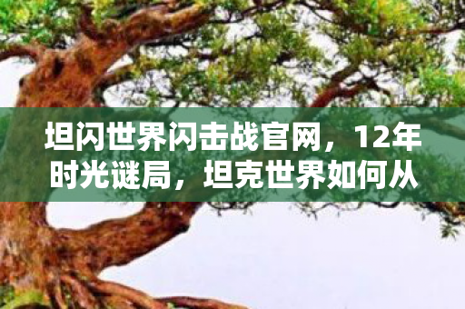坦闪世界闪击战官网，12年时光谜局，坦克世界如何从硝烟中驶向泪目传奇？