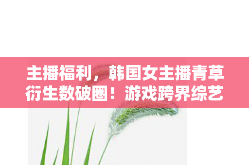 韩国女主播青草衍生数破圈图片
