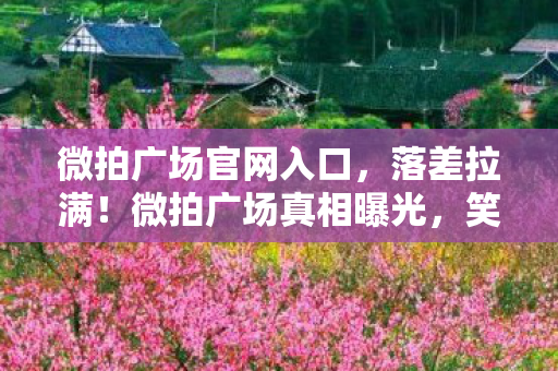 微拍广场官网入口图片