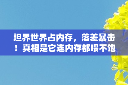 真相是它连内存都喂不饱图片