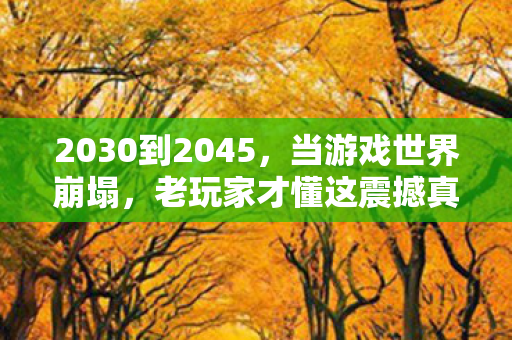 老玩家才懂这震撼真相图片