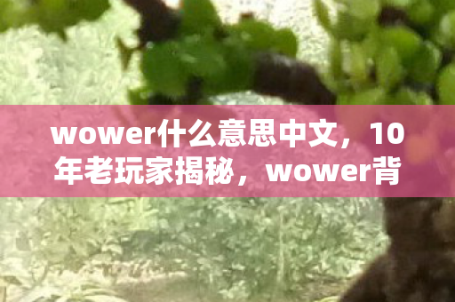 wower背后竟藏着让百万玩家集体破防的真相图片