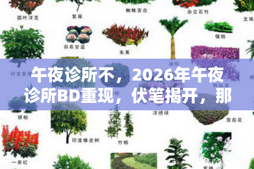 2026年午夜诊所BD重现图片