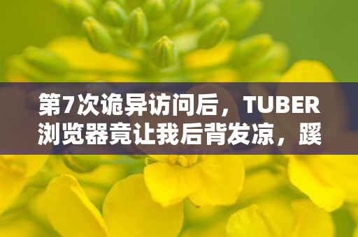 TUBER浏览器竟让我后背发凉图片