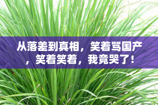从落差到真相图片