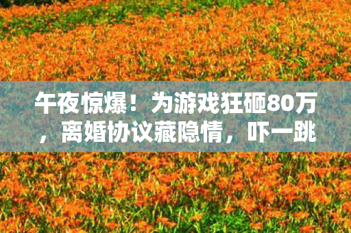 为游戏狂砸80万图片
