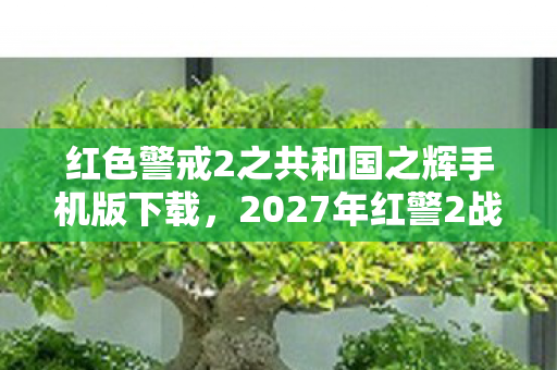 红色警戒2之共和国之辉手机版下载图片