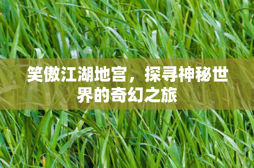 笑傲江湖地宫,探寻神秘世界的奇幻之旅 笑傲江湖地宫,探寻神秘世界的奇幻之旅