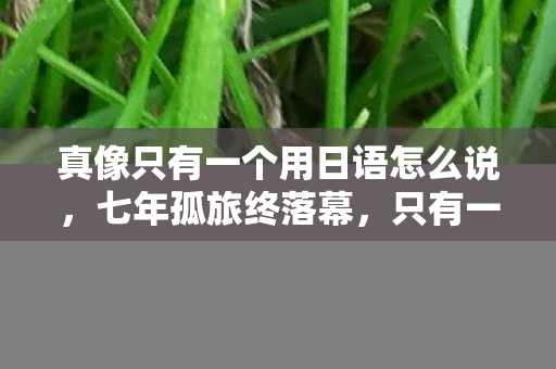 真像只有一个用日语怎么说图片