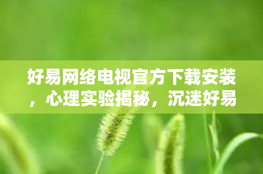 沉迷好易网络电视的细思极恐自我麻醉之旅图片