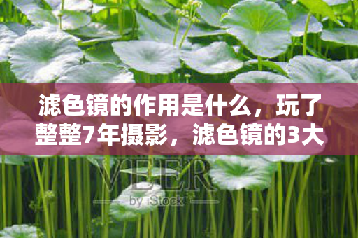 滤色镜的3大魔力竟让我如此纠结选哪个图片