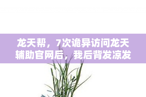 7次诡异访问龙天辅助官网后图片