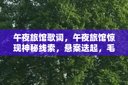 午夜旅馆惊现神秘线索图片