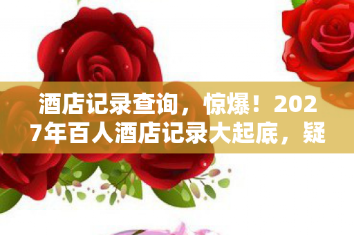 2027年百人酒店记录大起底图片