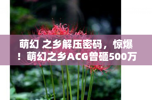 萌幻之乡ACG曾砸500万玩法被砍图片