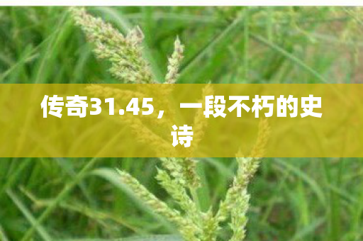 传奇31.45,一段不朽的史诗 传奇31.45,一段不朽的史诗