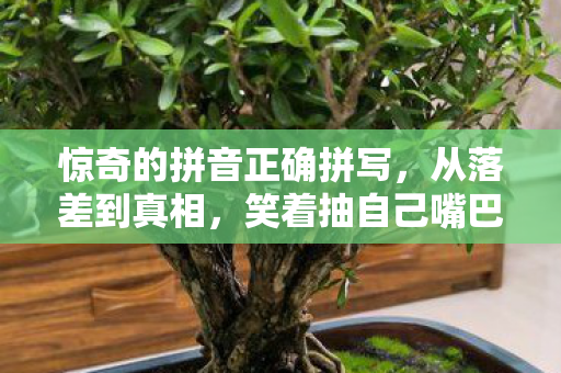 惊奇的拼音正确拼写图片