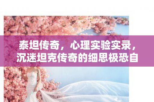 沉迷坦克传奇的细思极恐自我麻醉剂量报告图片