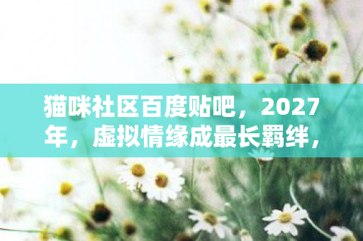 虚拟情缘成最长羁绊图片