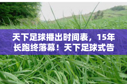 泪目见证游戏最后的钟声图片