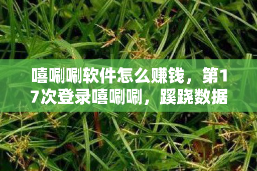 蹊跷数据流里后背发凉的十年逃亡图片