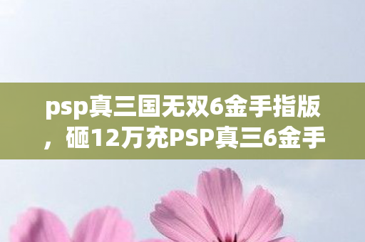 砸12万充PSP真三6金手指图片