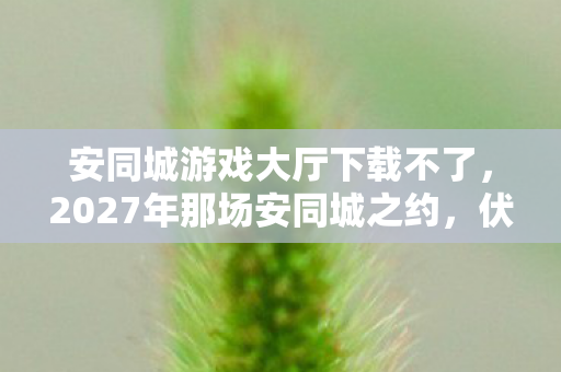 2027年那场安同城之约图片
