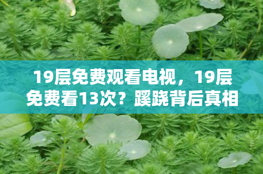 蹊跷背后真相让我后背发凉图片