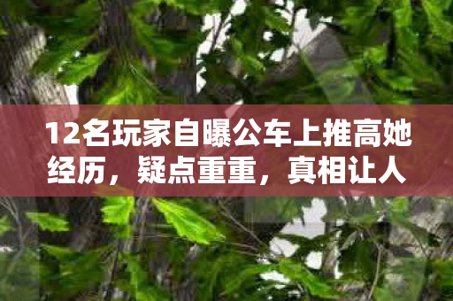 12名玩家自曝公车上推高她经历图片