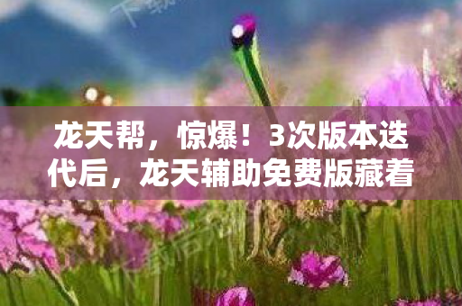 龙天辅助免费版藏着什么致命秘密图片