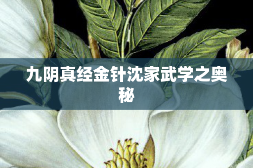 九阴真经金针沈家武学之奥秘 九阴真经金针沈家武学之奥秘
