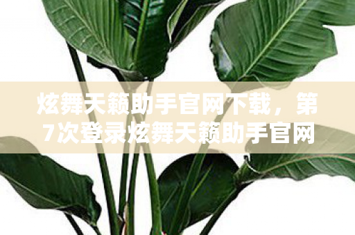 第7次登录炫舞天籁助手官网图片