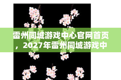 2027年雷州同城游戏中心图片
