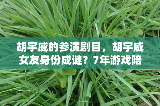 7年游戏陪伴者心酸自述引共鸣图片