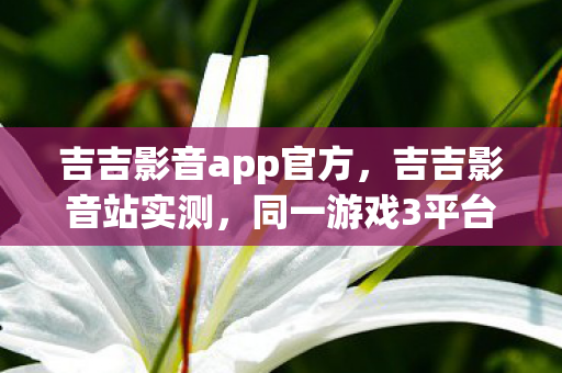 同一游戏3平台操作差异竟达73图片