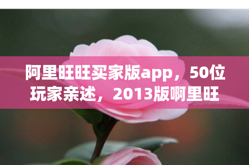 2013版啊里旺旺下载疑云图片